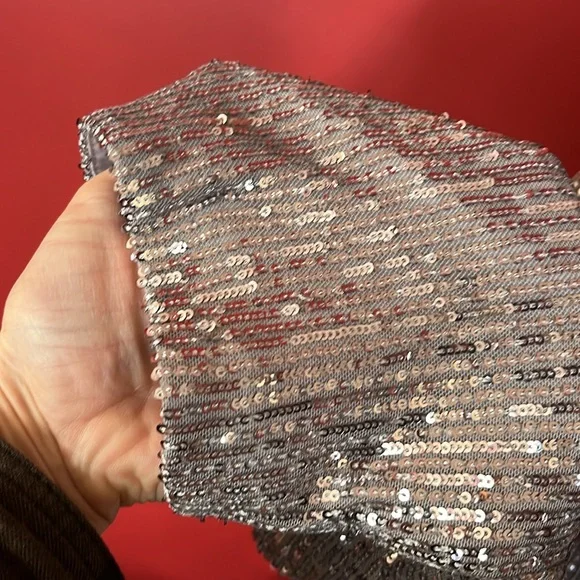 BNWOT Soft surroundings silver sparkly, long sleeve, formal lined top - Picture 3 of 16